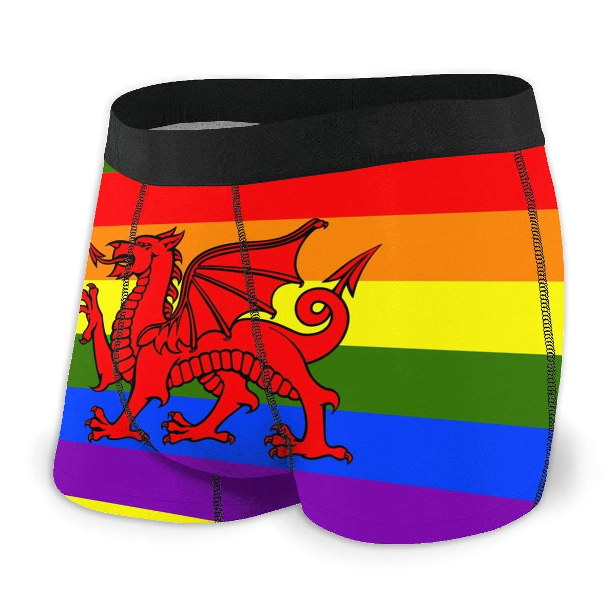 SJOAOAA Men's Classics Boxer Brief Rainbow Welsh Dragon Flag Novelty Boxer Shorts Print Underwear Stretch Boxer Trunk with Pouch