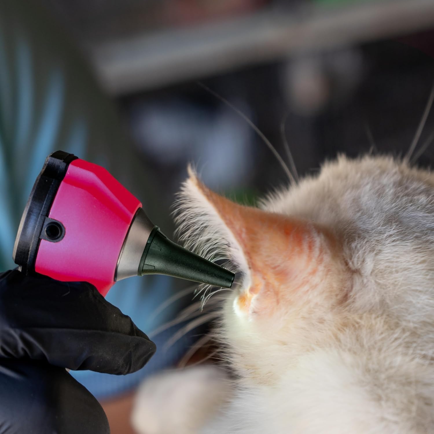 Mini Otoscope Rose à Fibre Optique, Outil Pour la Santé des Oreilles à Usage Domestique avec Lumière LED Supplémentaire Remplaçable
