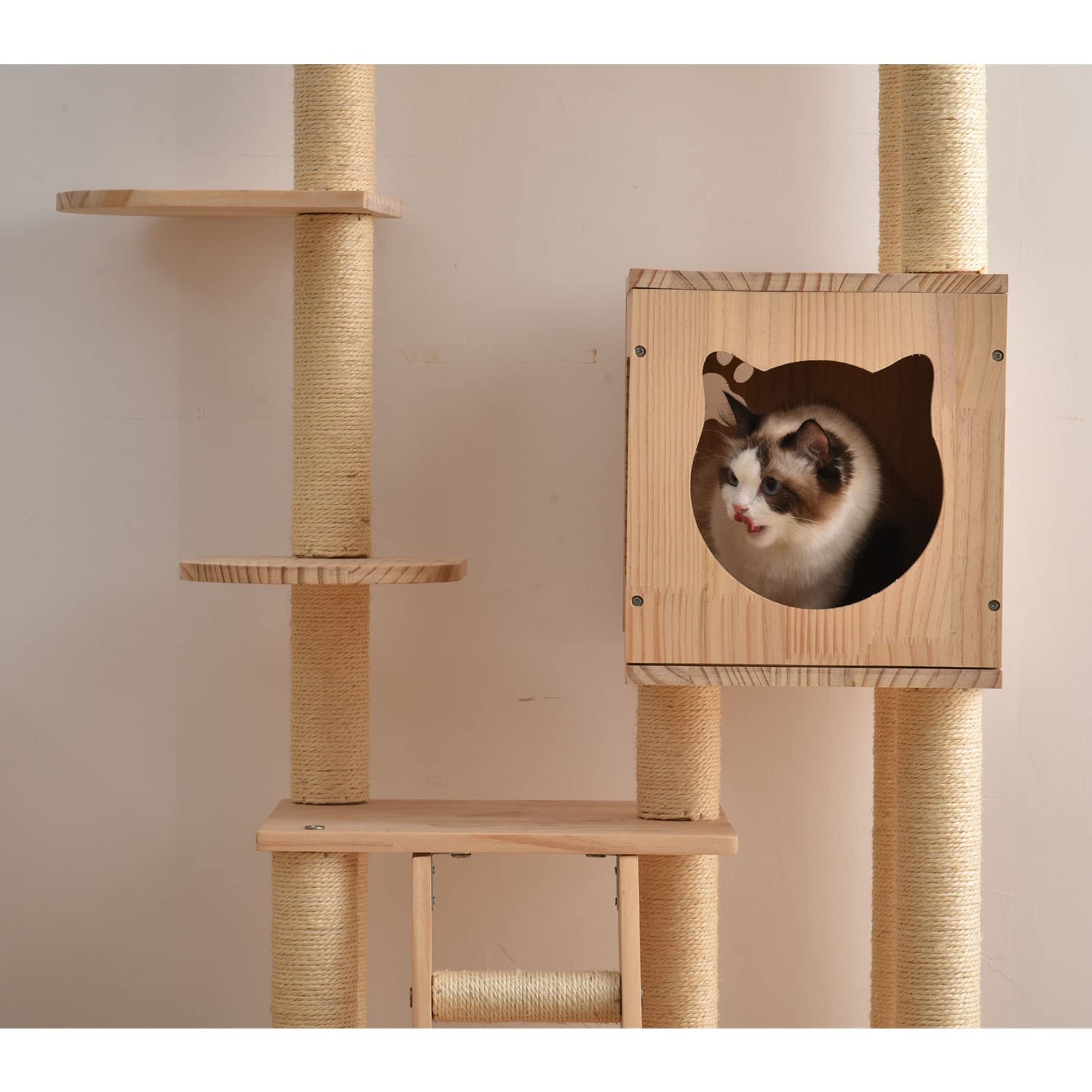 Amazon | キャットタワー 安定性 ねこタワー 運動不足を解消する 