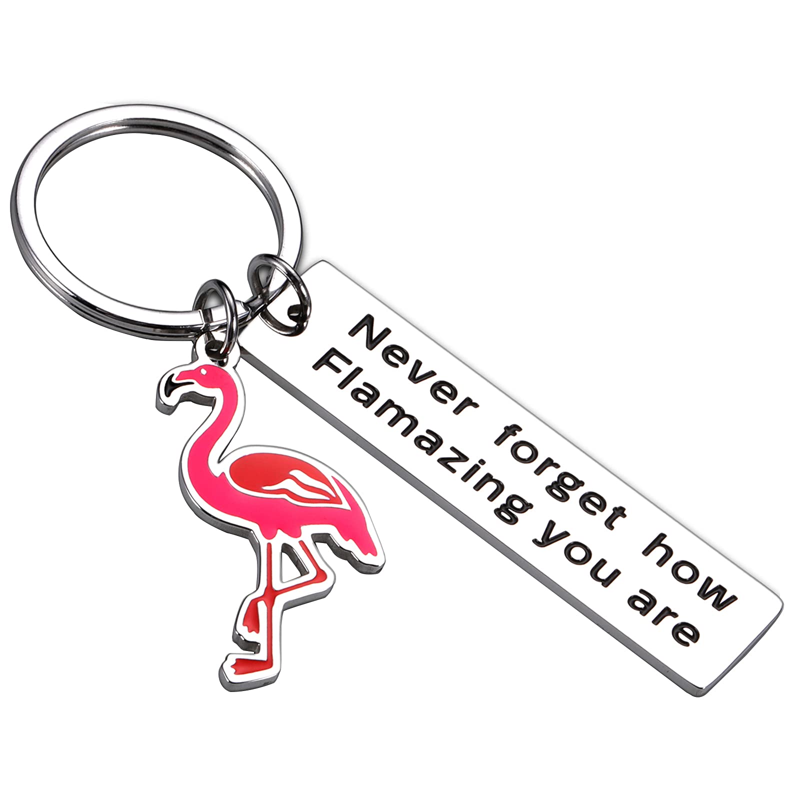 Motivational Flamingo Keychain Never Forget How Flamazing You Are Inspirational Gifts for Women Men Flamingo Gift for Family BFF Animal Lovers Keyring Jewelry Present