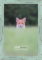 Vista 3 de 24x48 Frame Green Rustic Farmhouse - Shabby Chic Wood Picture Frame - Solid Wooden Photo Frame Includes UV Acrylic, Foam Board Backing, & Hanging