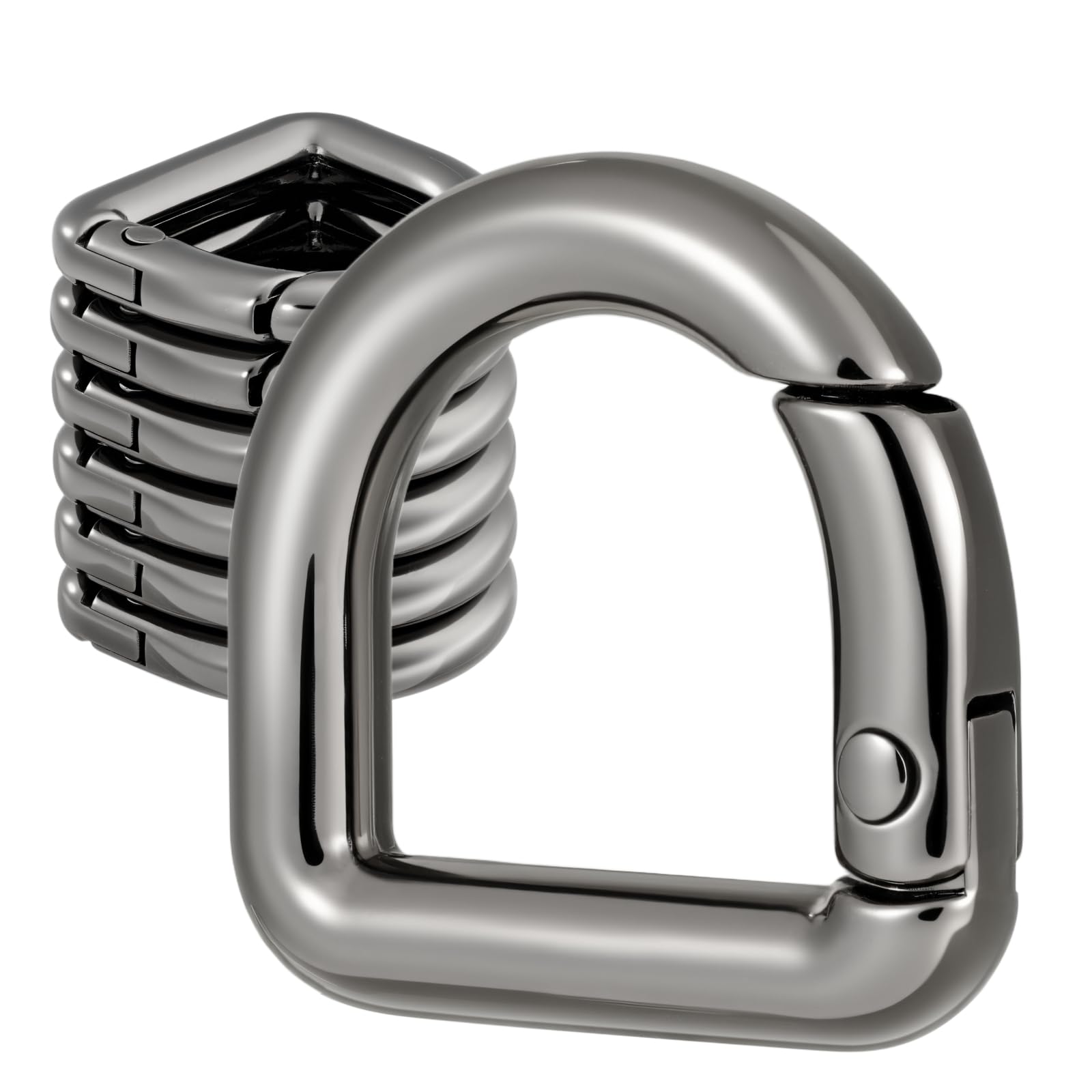 10pcs Metal D Ring Spring Key Hooks Keyring Clip for Keychain Buckle, Backpacks Handbag Purse Hardware, DIY Crafts