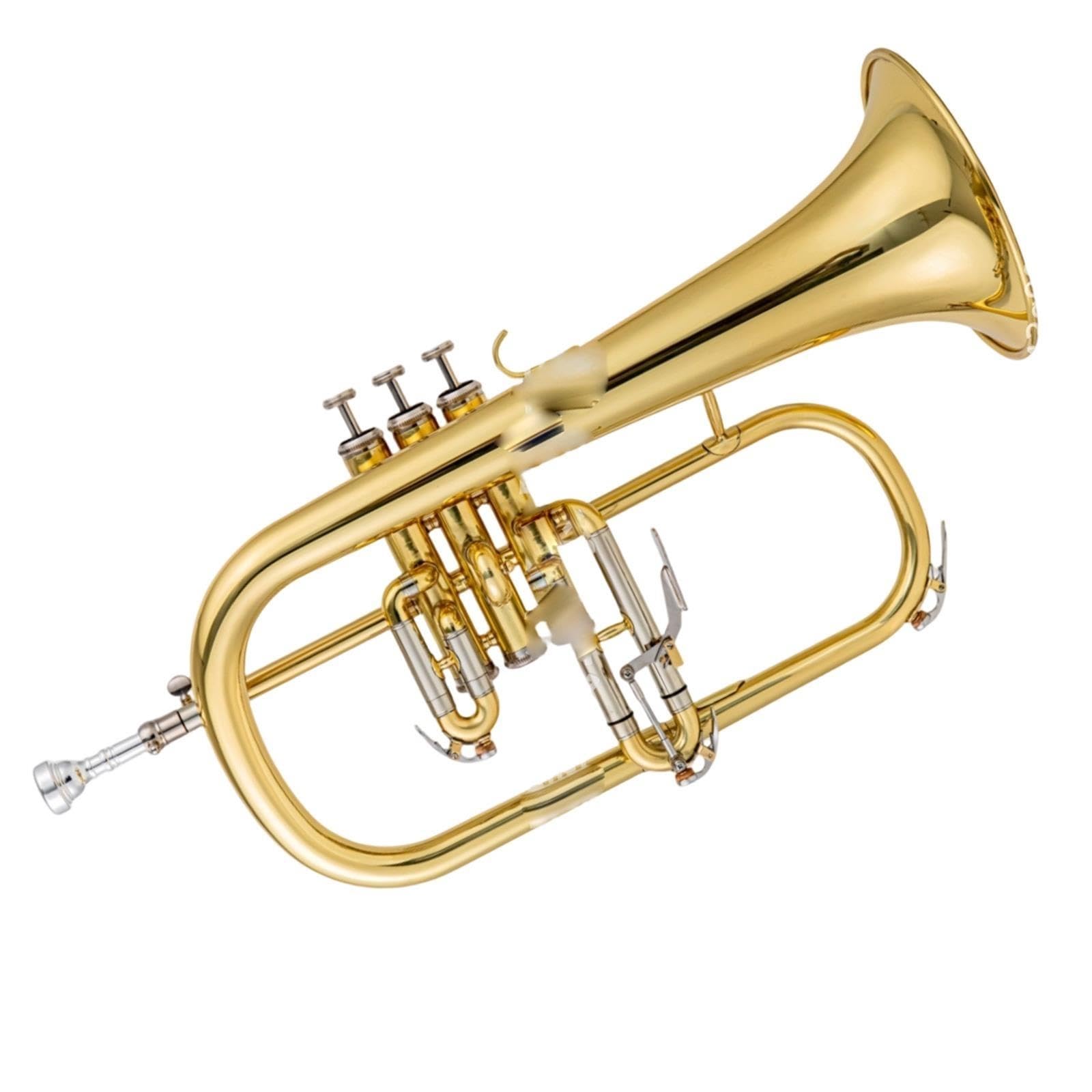 Standard Trumpet Trąbka Bb dla początkujących
