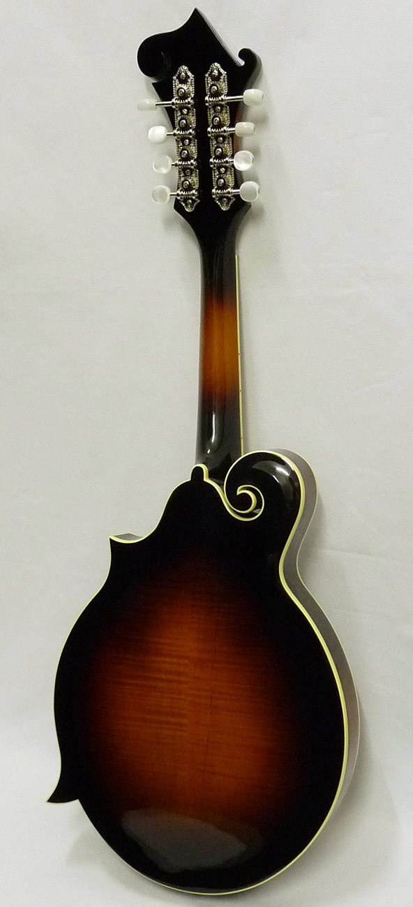 Amazon | Loar Fモデルマンドリン ビンテージサンバースト LM-520-VS