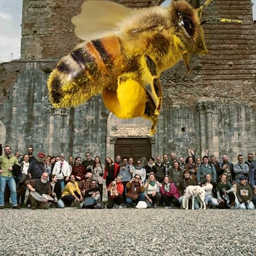 Il festival delle api ribelli. Con Adelaide Valentini cover art