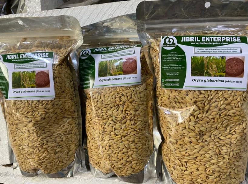 African rice,Oryza glaberrima paddy, 100% natural and organic, no additives, including phyto sanitary certificate (200g)