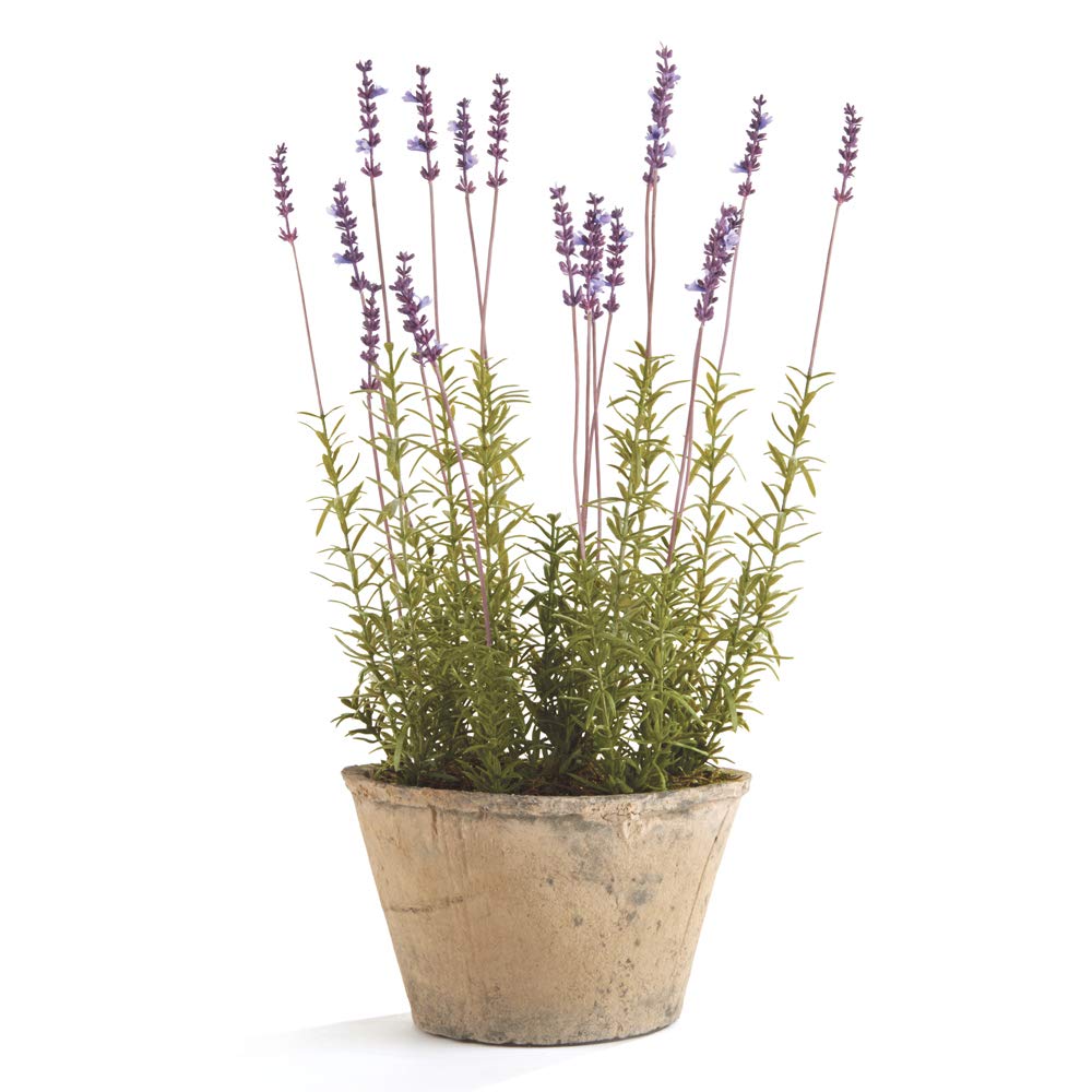 Napa Home & Garden French Lavender Potted 21" 9 x 9 x 21 Purple