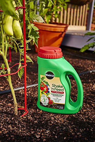 Image of Miracle-Gro Shake 'n Feed Tomato, Fruit and Vegetable Plant Food, for Outdoor In-Ground and Potted Plants, Feeds up to 3 Months, 4.5 lbs. (Pack of 6)