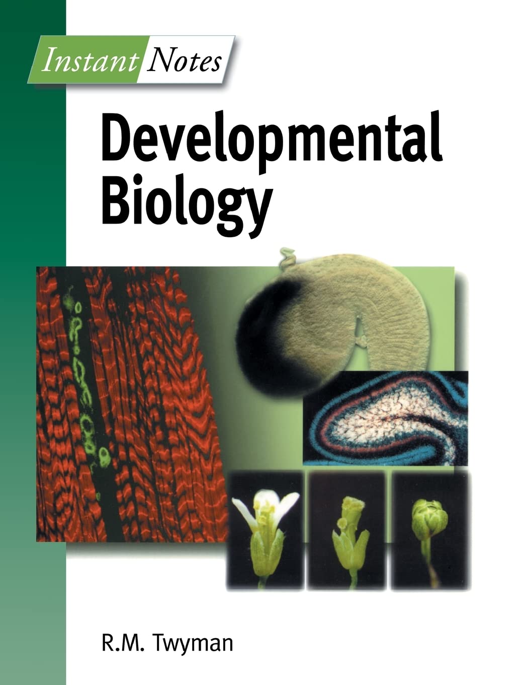 BIOS Instant Notes in Developmental Biology Paperback – 15 June 2000