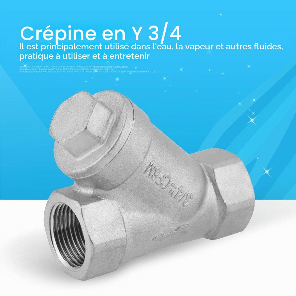 Filtre en Y 3/4 "DN20 PT en acier inoxydable Filtre à tamis en forme de Y Raccords de tuyauterie pour l'eau, le pétrole et le gaz