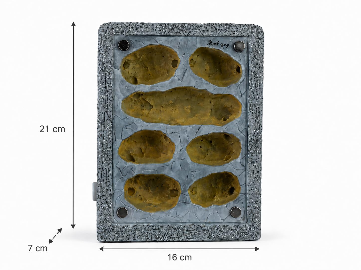 Formicarium Ameisennest Ameisenfarm in Granitoptik für Ameisen