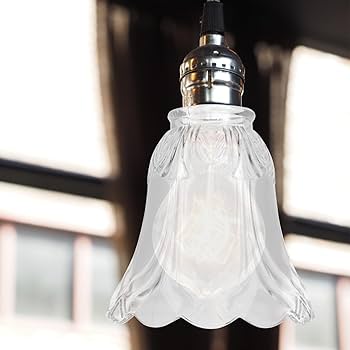 Paralume Globo Smerigliato PRETYZOOM - Sostituto Per Lampadari E Applique - Foto 2