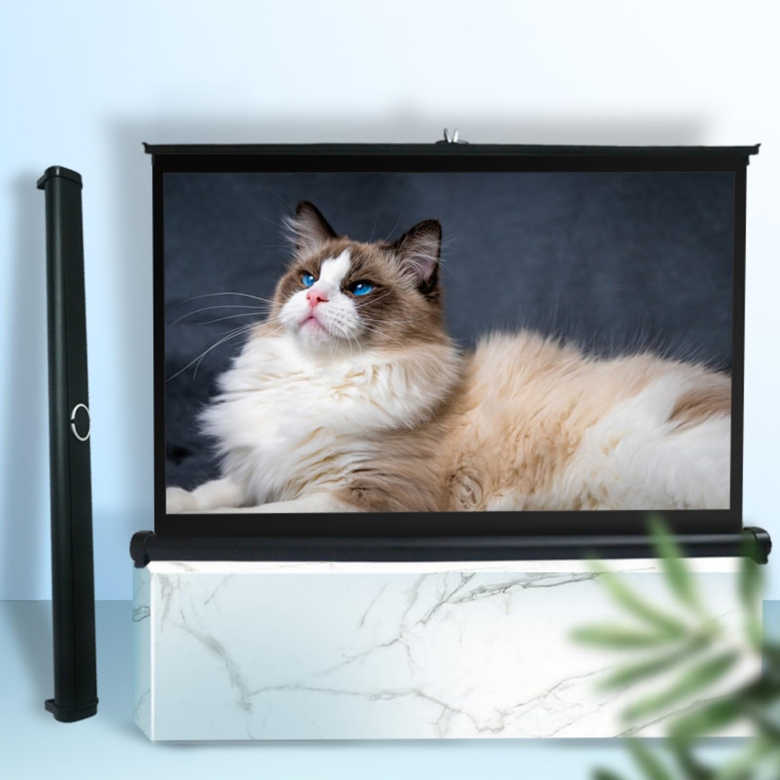 Schermo Per Proiettore Da 50 40 30 20 Pollici, Ultra 4K 16:9 /4:3 FHD Projector Screen Cinematografico, Pieghevole Telo Proiettore Per Home Theater, Migliora Luminosità E Chiarezza(16:9 40inch)