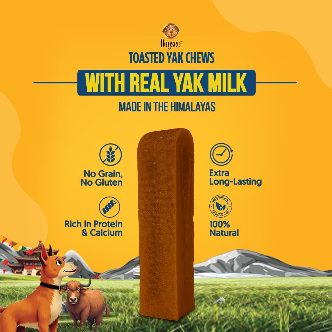 Dogsee Toasted Yak Cheese Himalayan Dog Chews (Large- 4 Chews) | Extra Long-Lasting | Double Cooked for Extra Smoky Cheese Flavor | Rich in Protein & Calcium | Easy to Digest | for Cleaning Teeth