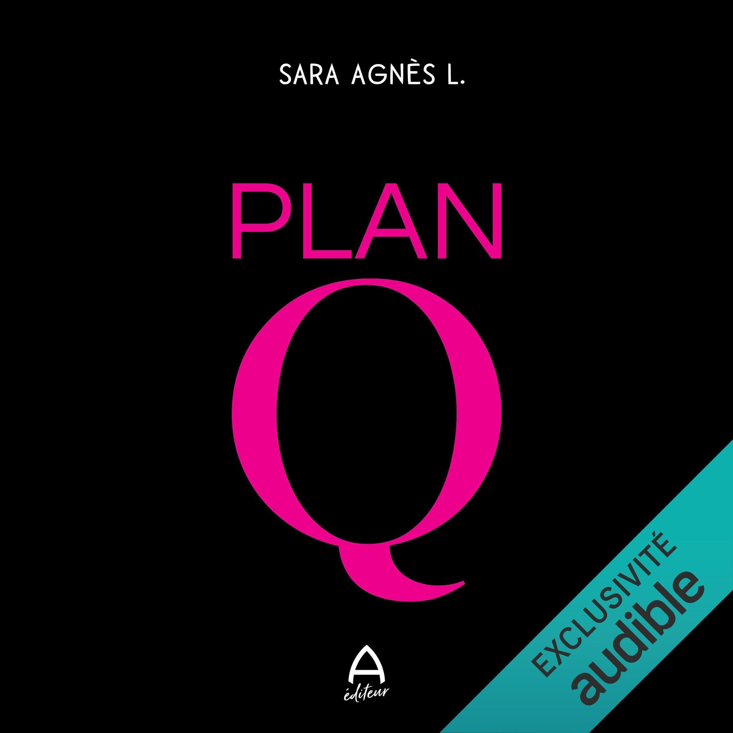 Plan Q