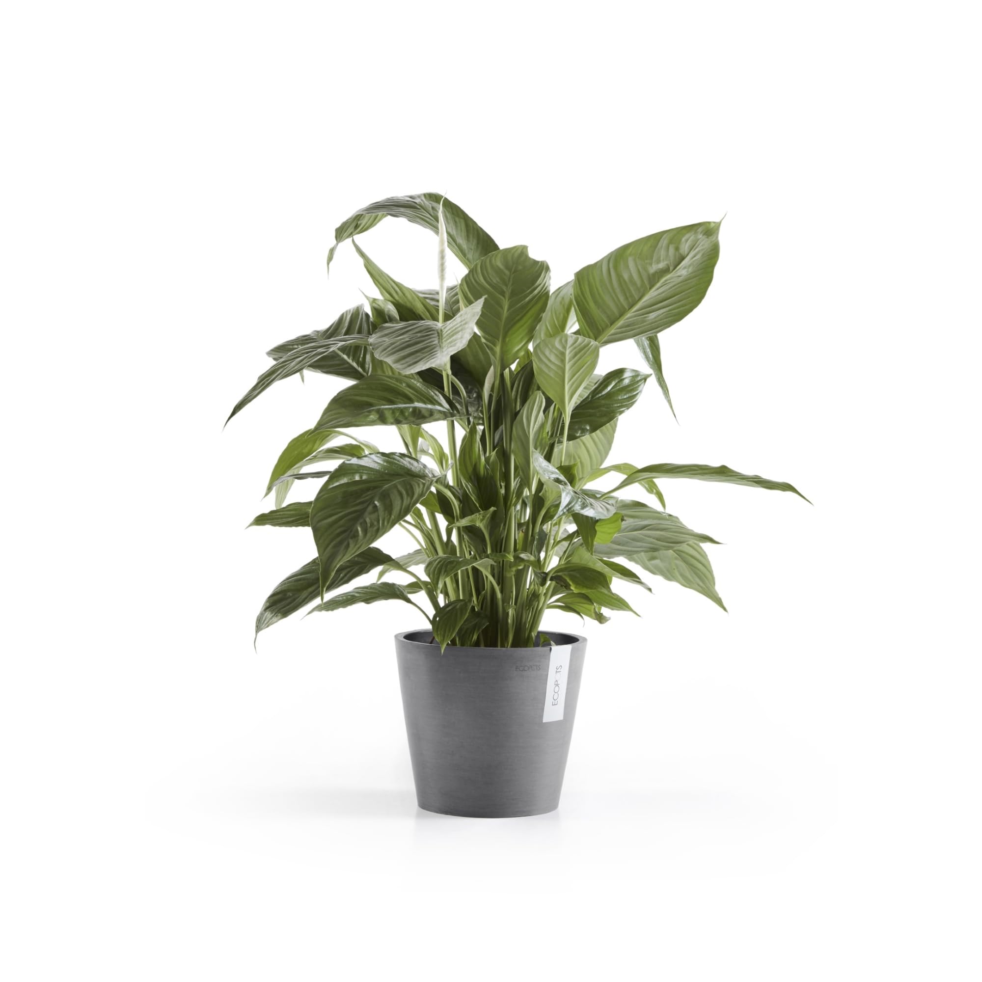 Vaso per piante e fiori Rotterdam ECOPOTS in plastica grigio H 26.5 cm L 30 x P 30 cm | Leroy Merlin