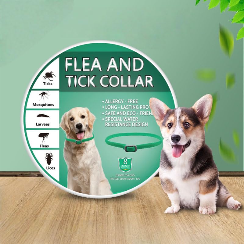 2 Pack Adjustable Dog Collars, Durable Waterproof Collar for Small Medium & Large Dogs - Image 3