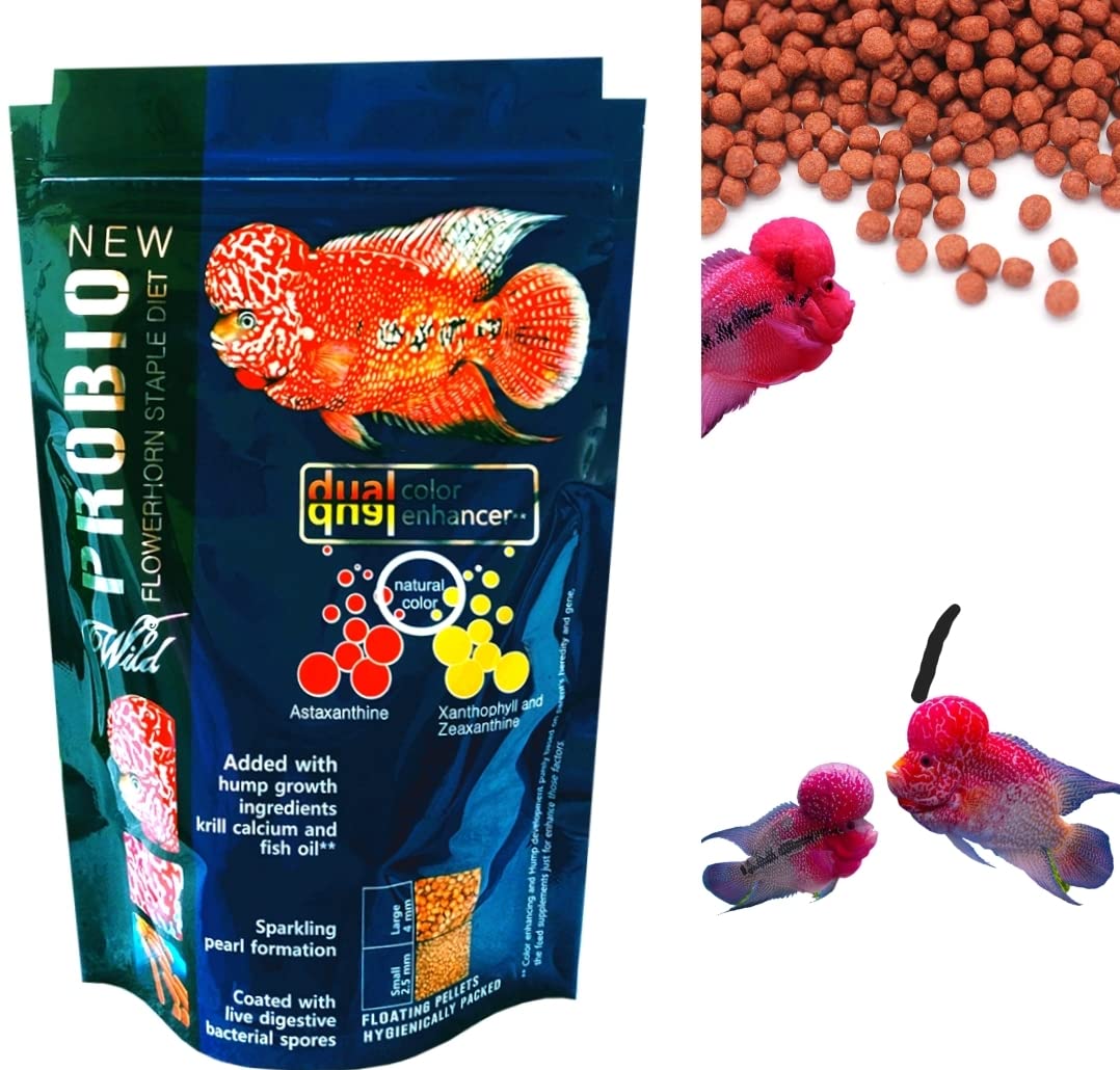 VAYINATO Aquatic Remedies New Wild Probio Flowerhorn Staple Diet,100G|Floating Feed/Dual Color Enhancer (B0B975QFMS) Amazon Price History, Amazon Price Tracker