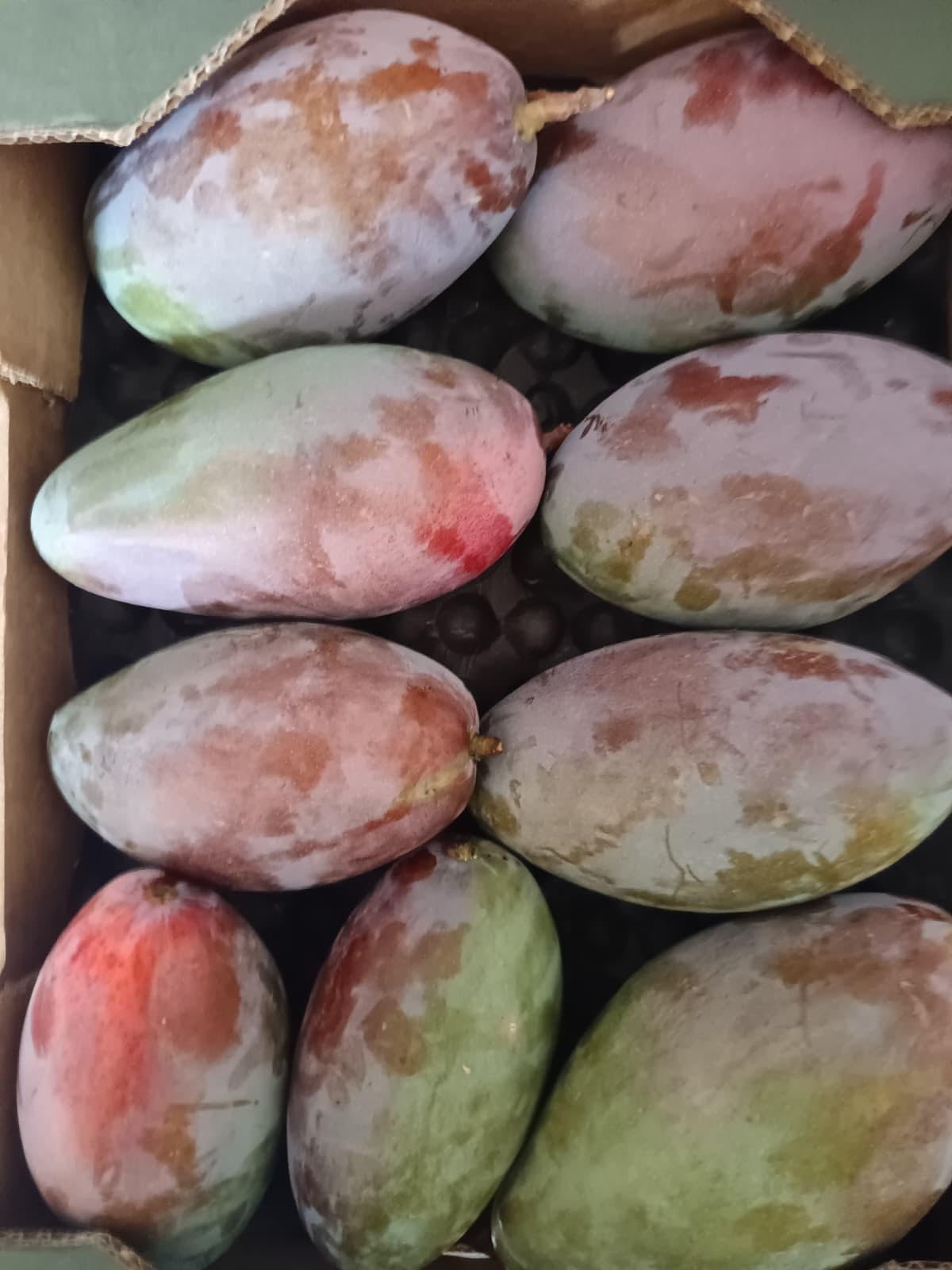 Vitalem – Caja de Mangos 2.5kg | Cultivo Local de la Axarquía (Málaga) | Fruta Fresca de Temporada | Directo del Agricultor | 100% Natural y Sostenible