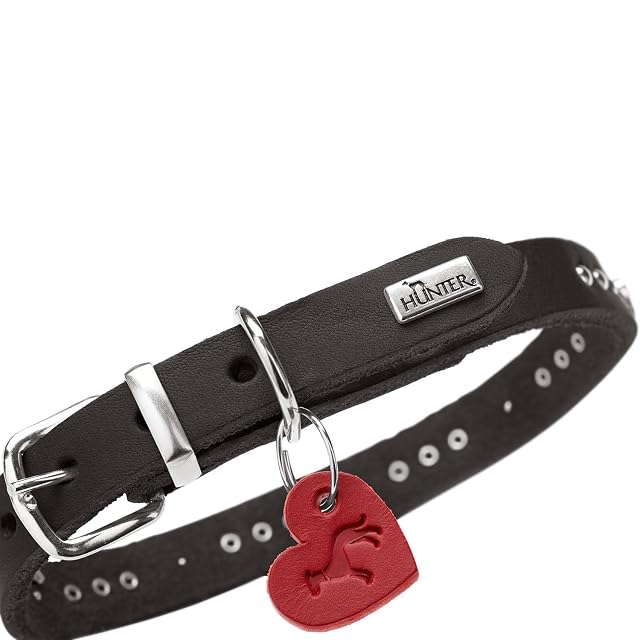 Foto 5 de 8 de HUNTER Aalborg Hearts - Collar para Perro
