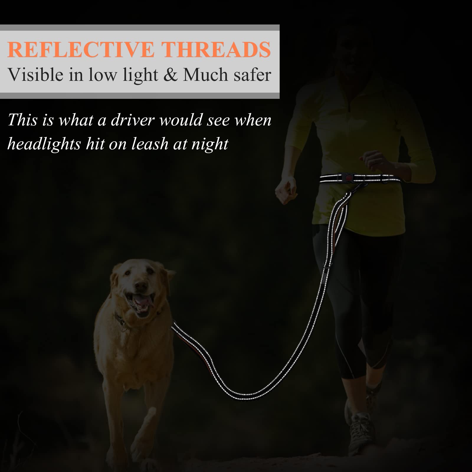 VIVAGLORY Hands Free Dog Lead Bungeeone Waist Dog Lead with Belt for Running Walking & Jogging - Image 4