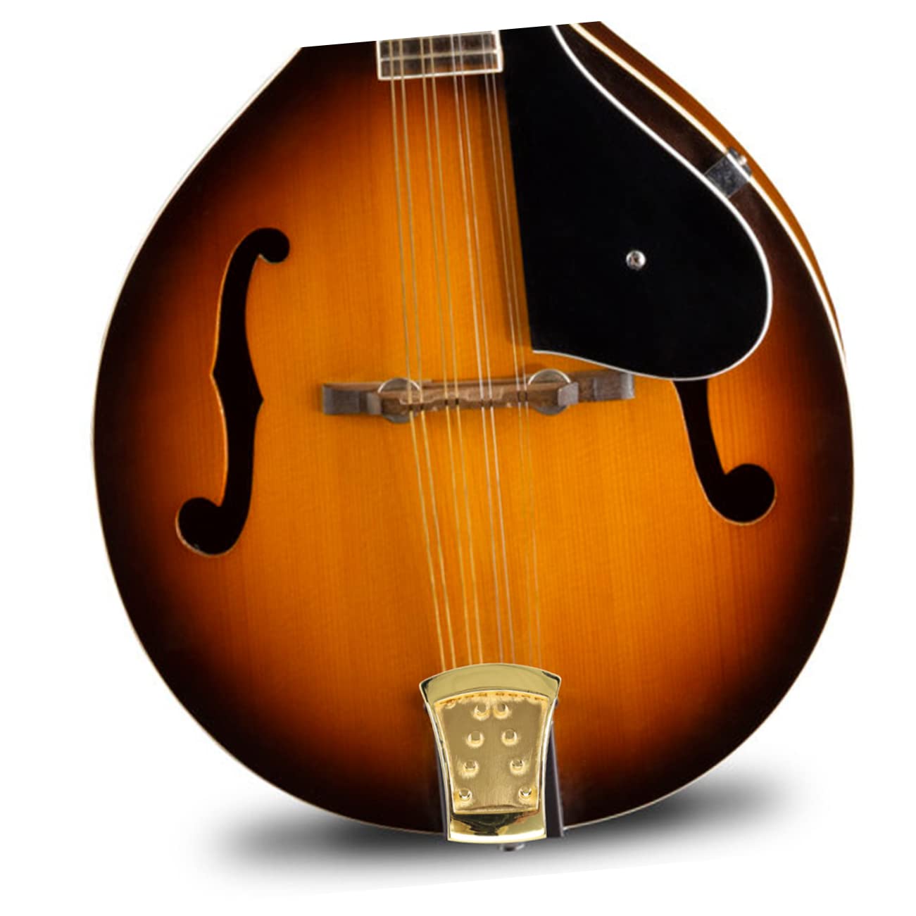 Toyvian 2sets Parti Metalliche Per Mandolino Triangolo Compatibile Con Mandolini Arched Top Corde Facile Da Installare Di Resistente e Durevole Accessorio Per Musicisti