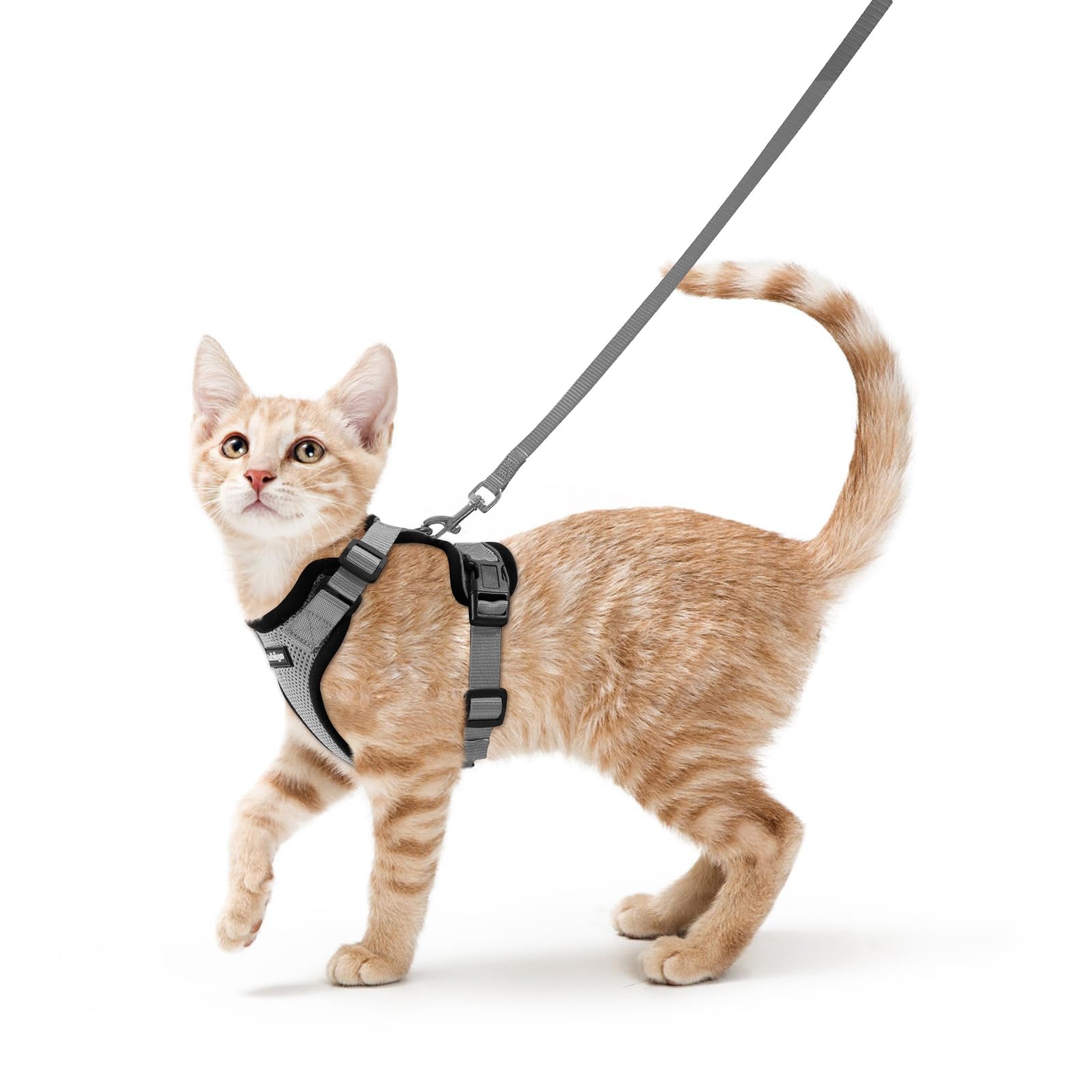 rabbitgoo Cat Harness and Leash Set, Escape Proof Vest, Grey