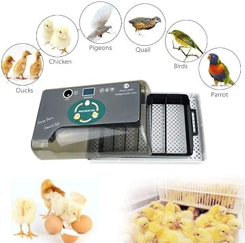 Automatic Hatching Egg, Incubator, Incubator, For Chickens and Other Livestocks, For Birds, Automatic Rolling Egg Type, Hatcher, Large Capacity, Automatic Temperature Control, Humidity Retention,