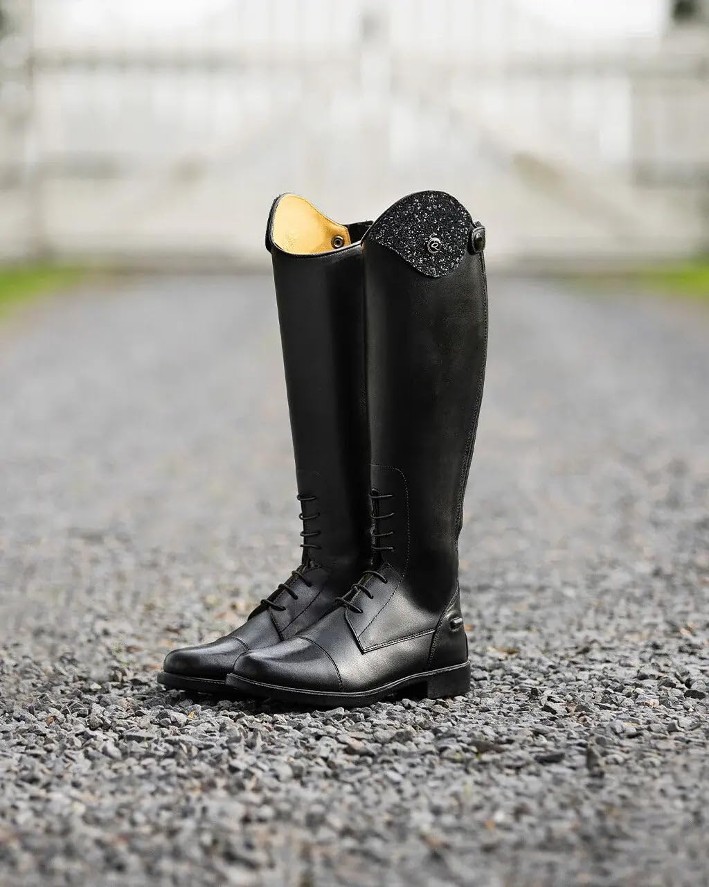 Bottes d'équitation en cuir QHP Romy pour enfants avec design interchangeable - Noir - Largeur de mollet normale, Noir , 36