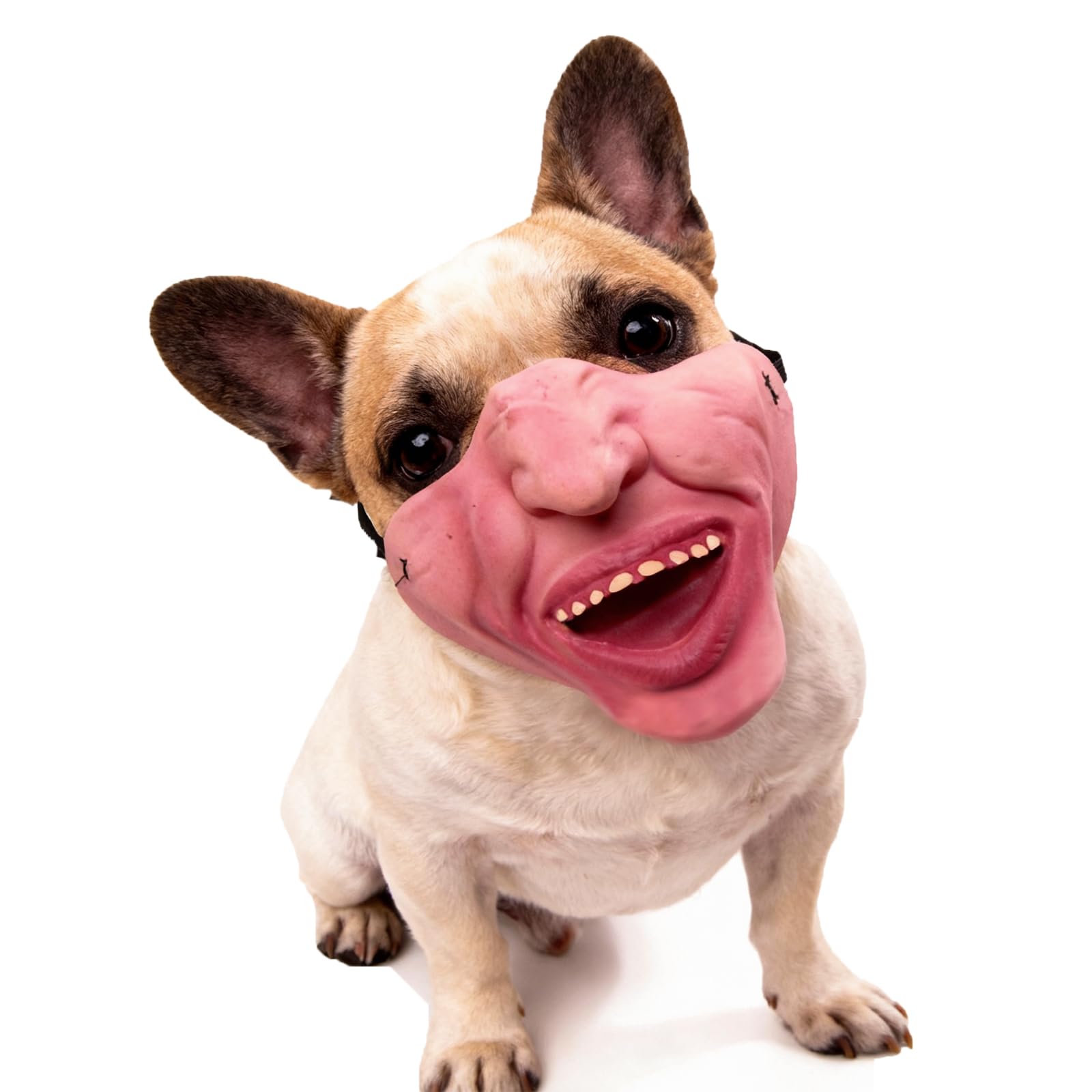 Photo 1 of MATIHAY Funny Dog Mask for Medium Dogs
