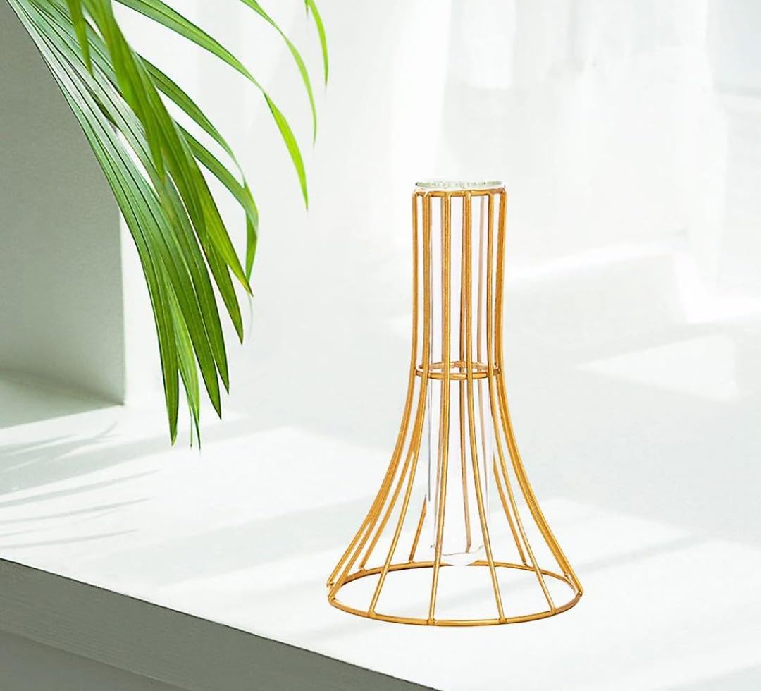 VRB DecTM 1 Pcs Metal Frame Test Tube Vase for Flower,Items Vase,Gift, Home Decor, Bedroom, Office Corner, Living Room,Aesthetic, Nordic Decoration (Design 5) (B0CQ5B8KHS) Amazon Price History, Amazon Price Tracker