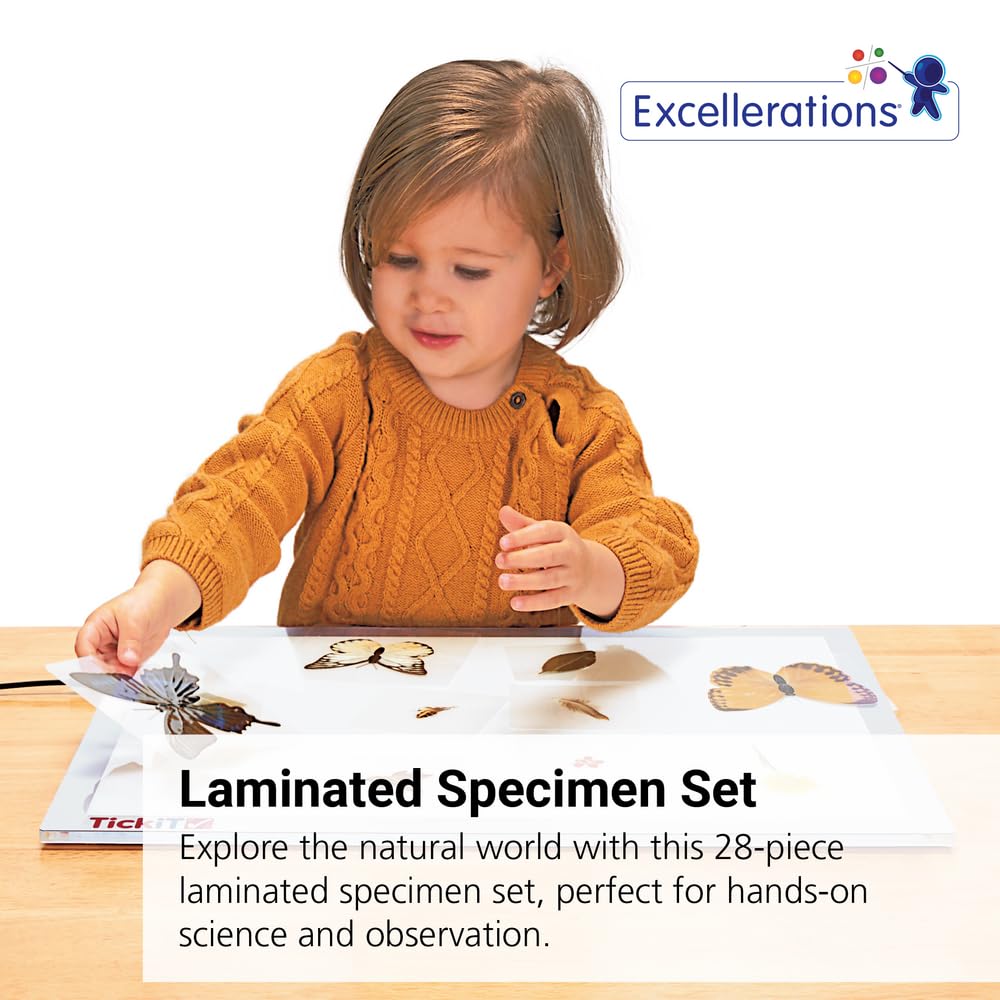 Excellerations Educational Laminated Specimen Set of 28 for STEM Nature Study