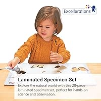 Vista 3 de Excellerations Juego de 28 especímenes laminados educativos para estudio de naturaleza STEM (artículo # estudio)
