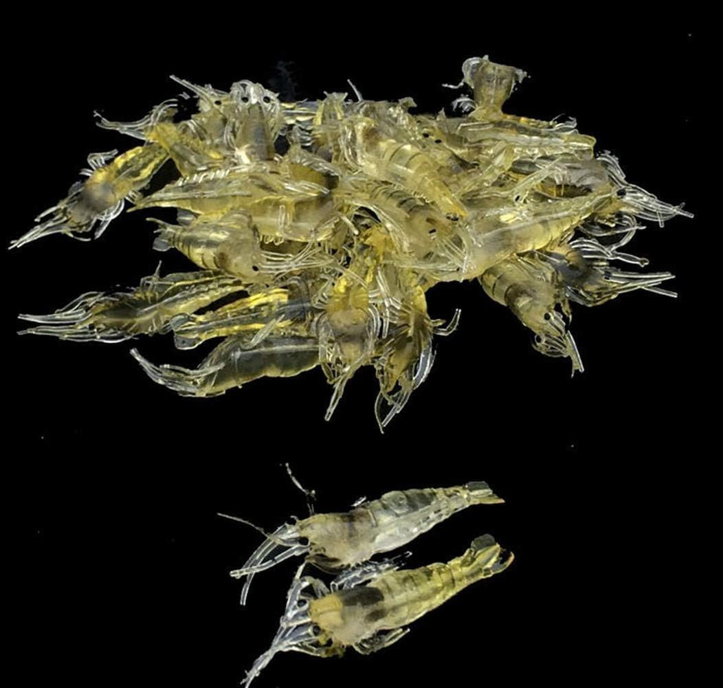10Pcs Simulation Fake Bait Grass Shrimp Lures 4cm Soft Shrimp Bait Fishing Gear, Fishing Soft Plastic Lures