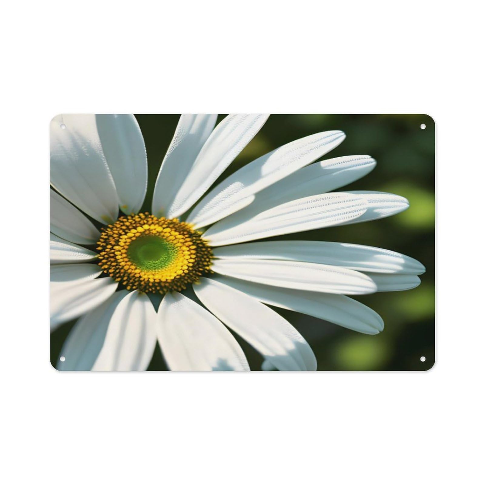 Btcowzrv Style Daisy Metal Sign 7.9 X 11.8 Inch, Aluminum Sign Wall Art Decor Easy To Install, Decorative Plaque For Home Bar Kitchen Pub Shop Garage