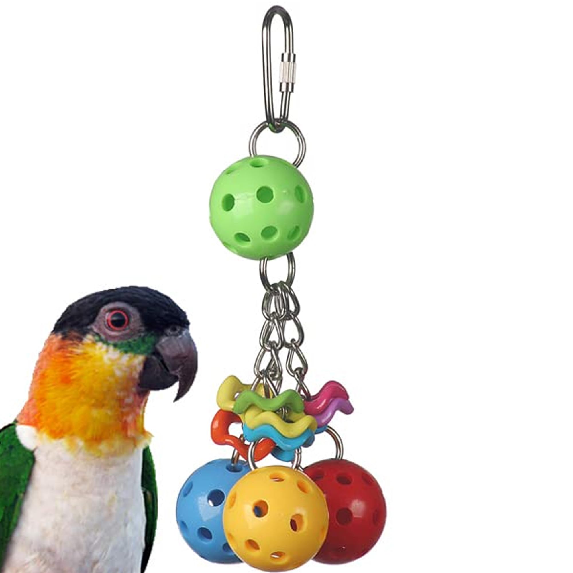ボール bird Jr Amazon.com : Super Bird Creations SB1093 Jingleberries Bird Toy