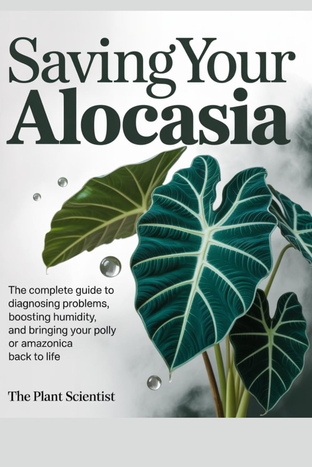 Saving Your Alocasia: The Complete Guide to Diagnosing Problems, Boosting Humidity, and Bringing Your Polly or Amazonica Back to Life