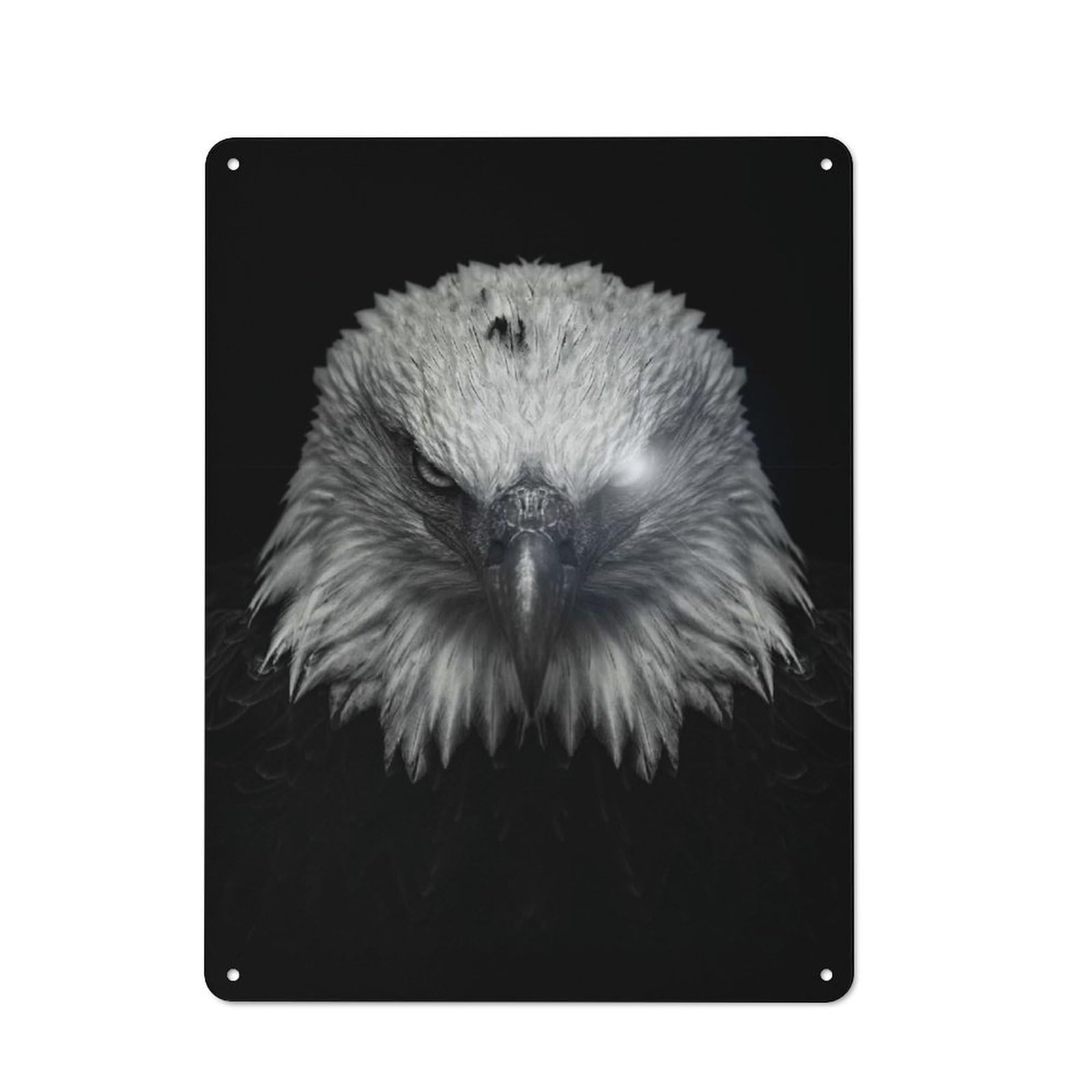 Junmoney Style-20 Vintage Tin Sign 40X30cm With Angry Eagle Poster For Home Bar Wall, Metal Sign Decor For Home Bars And Entertaining Spaces