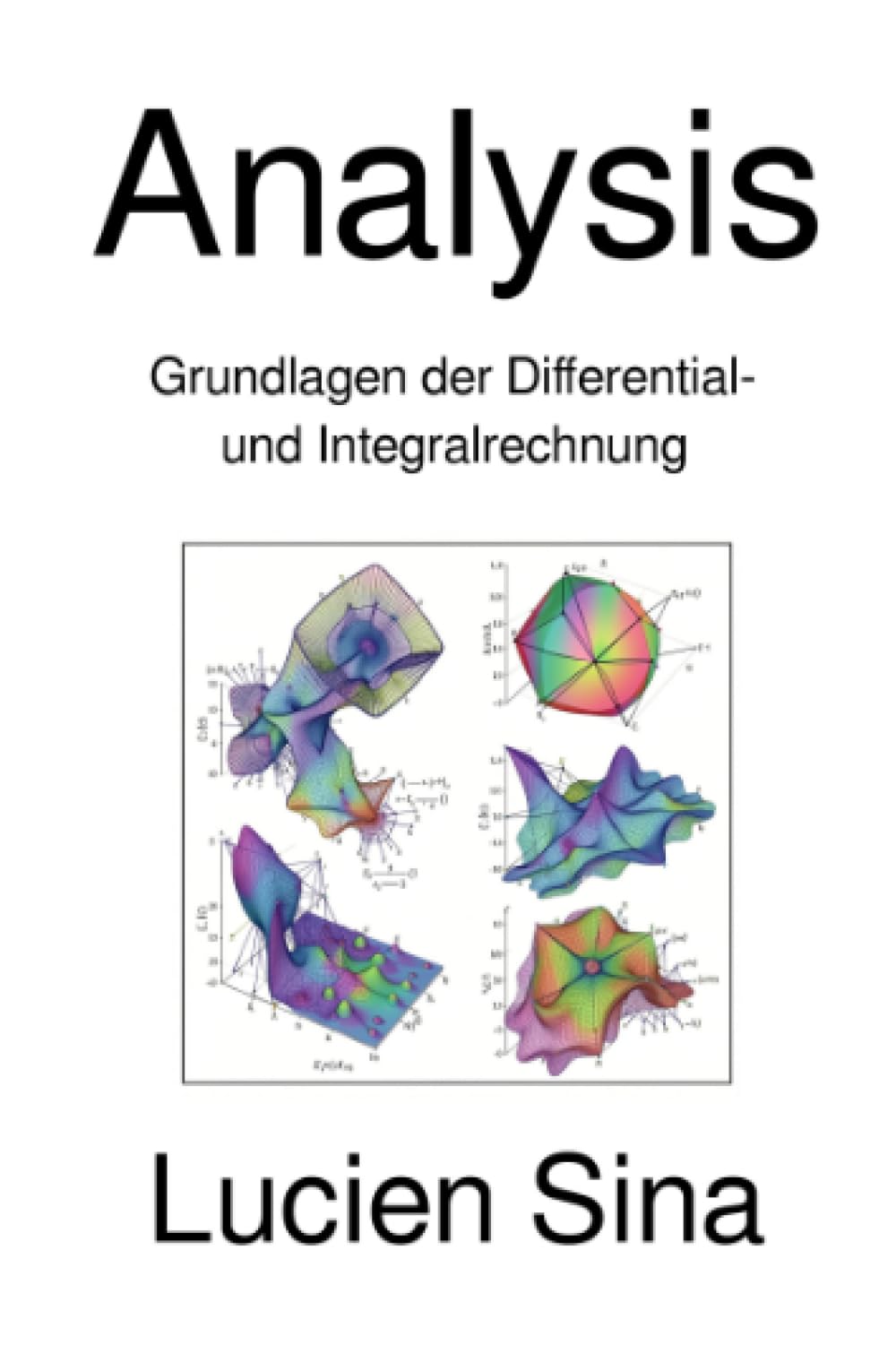 Analysis: Grundlagen der Differential- und Integralrechnung
