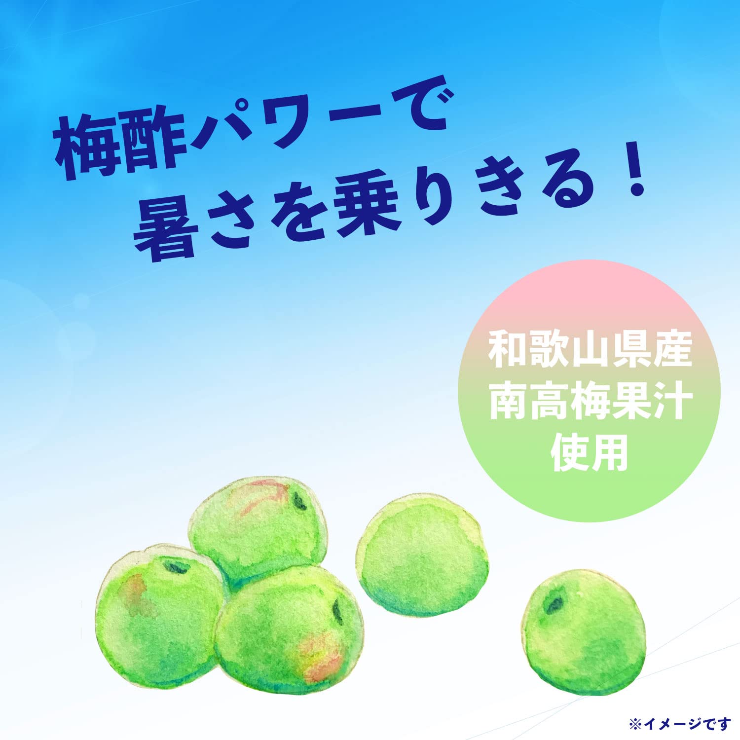 Amazon.co.jp: 伊藤園 冷梅 (冷凍兼用ボトル) 500g×24本 : 食品・飲料