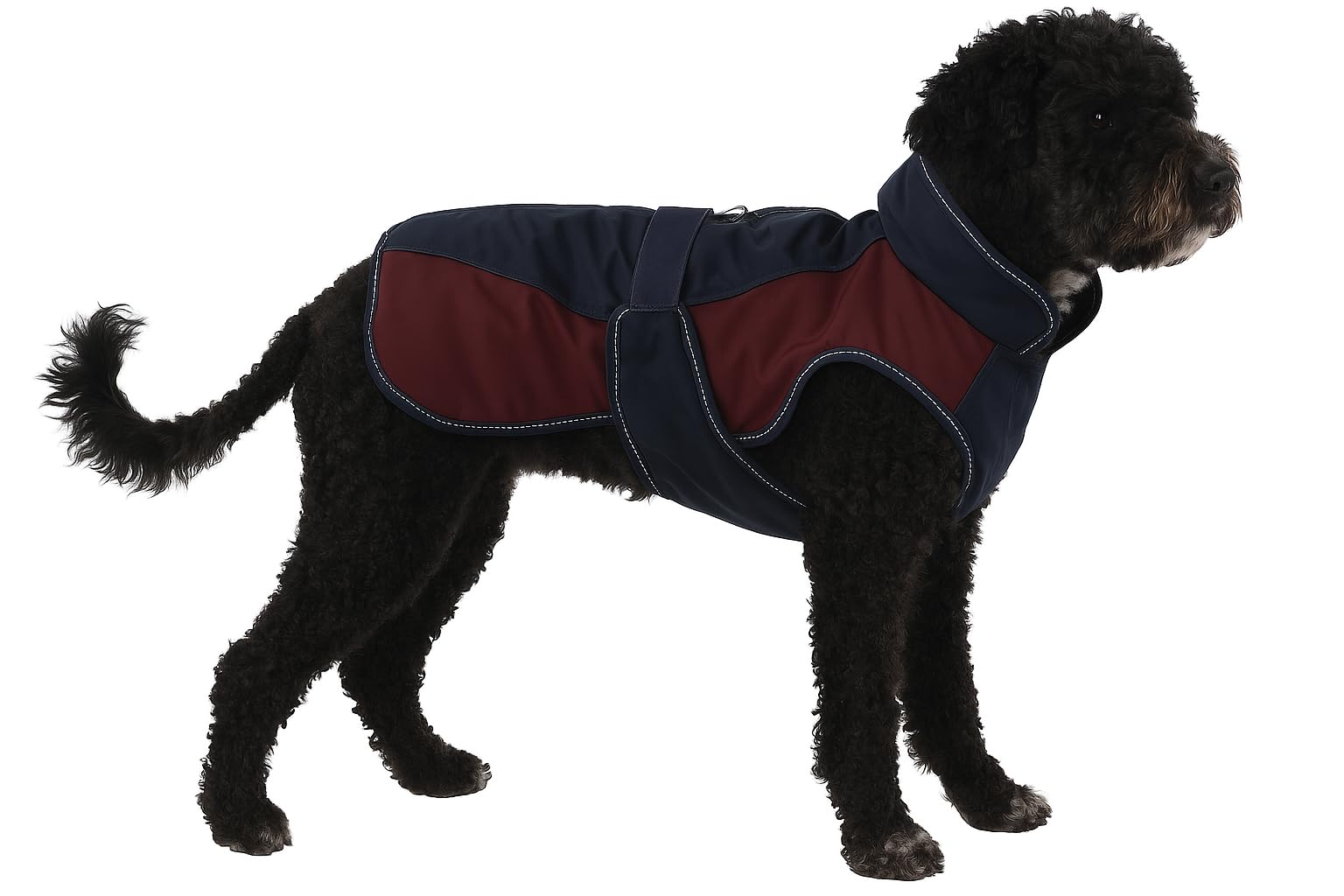 Flamingo WINTER COAT EISBERG DARK BLUE/BURGUNDY 55CM, 55 cm