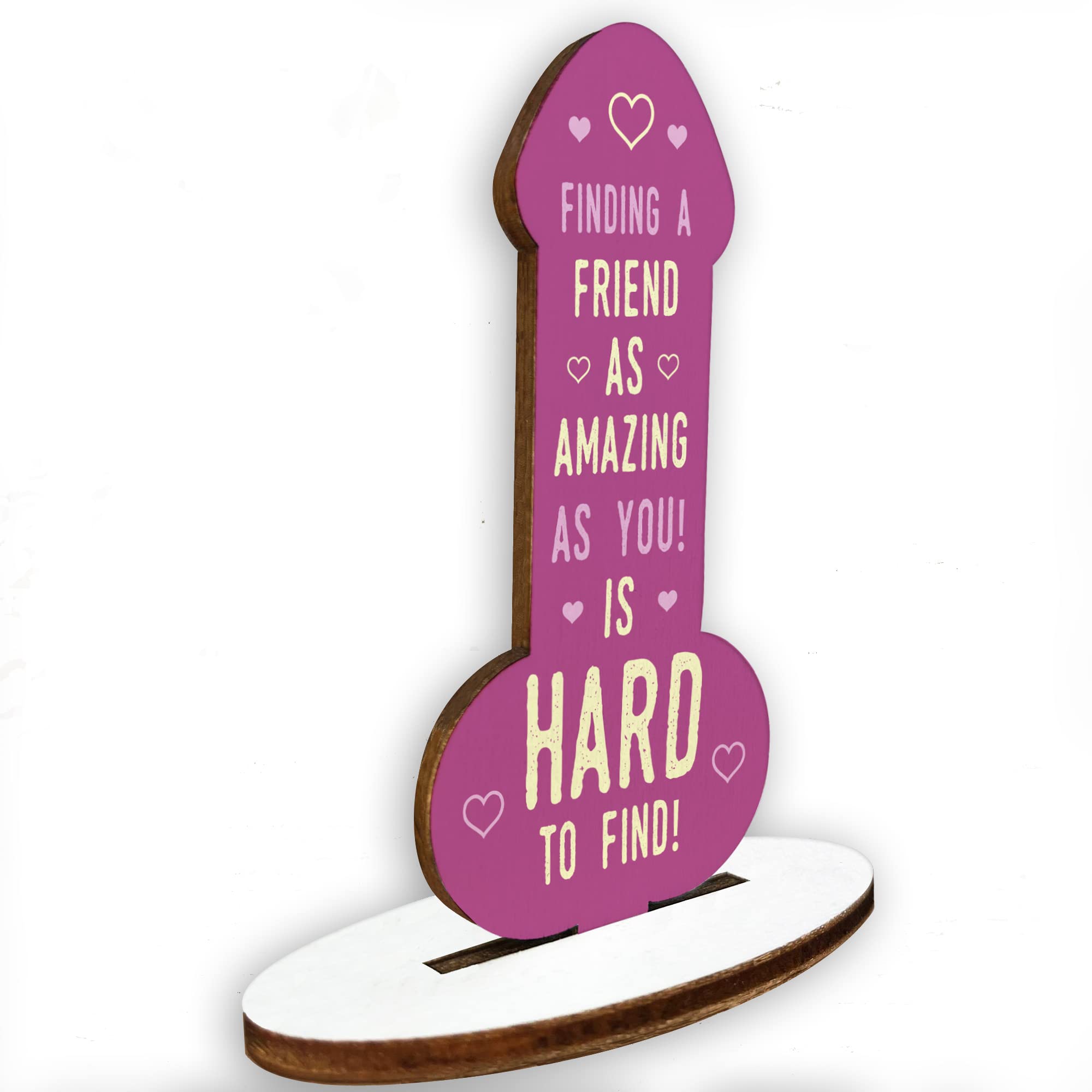 Red Ocean Funny Rude Friendship Plaque Novelty Plaque Birthday Friend Joke Gift For Him Her