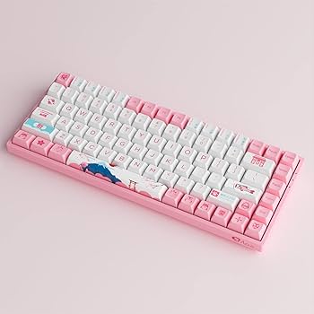 Amazon.com: Akko World Tour Tokyo 75% Hot-swappable