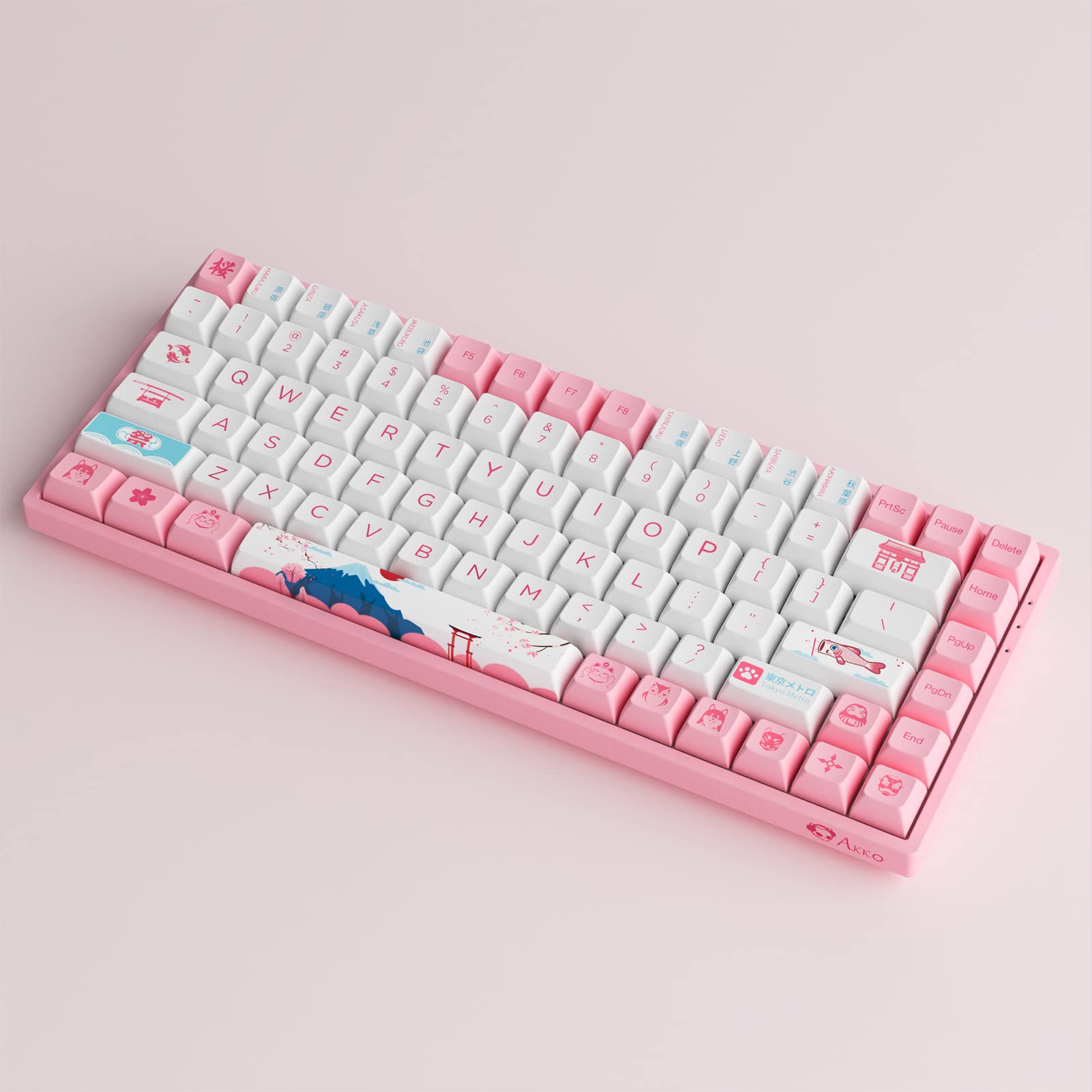 akko様 Amazon.com: Akko World Tour Tokyo 75% Hot-swappable