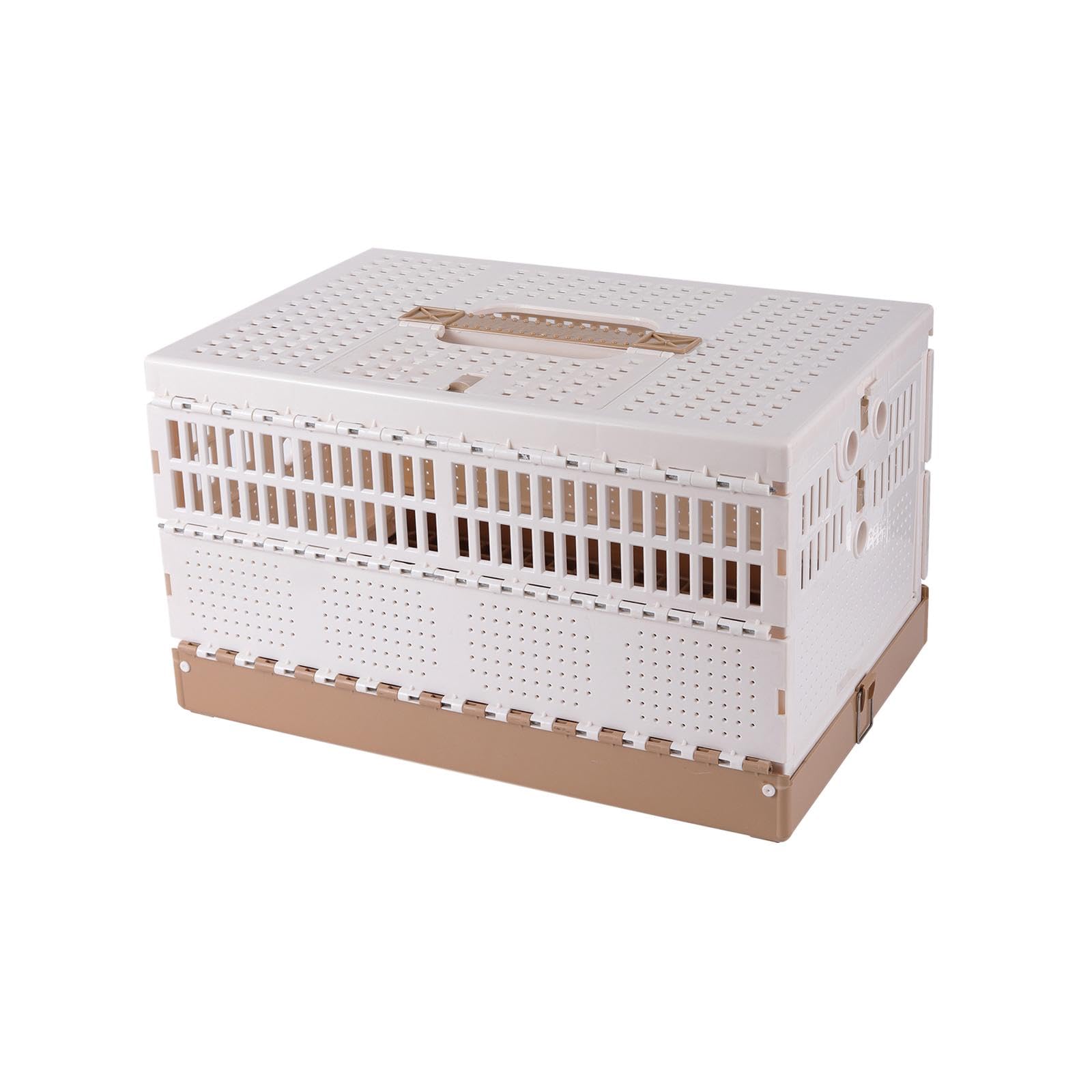 Colcolo Jaula para Palomas, Caja de Transporte, para Exteriores, Jaula de Viaje Plegable para pájaros, Caja Nido para Palomas, para el Transporte y liberación