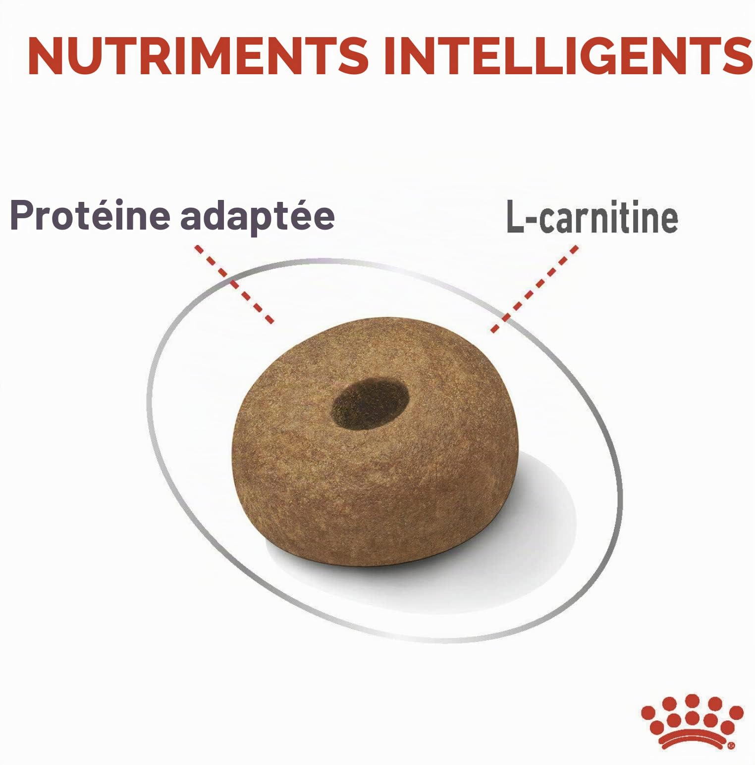 Royal Canin - Croquettes Maxi Light Weight Care - Sac De 12 Kg
