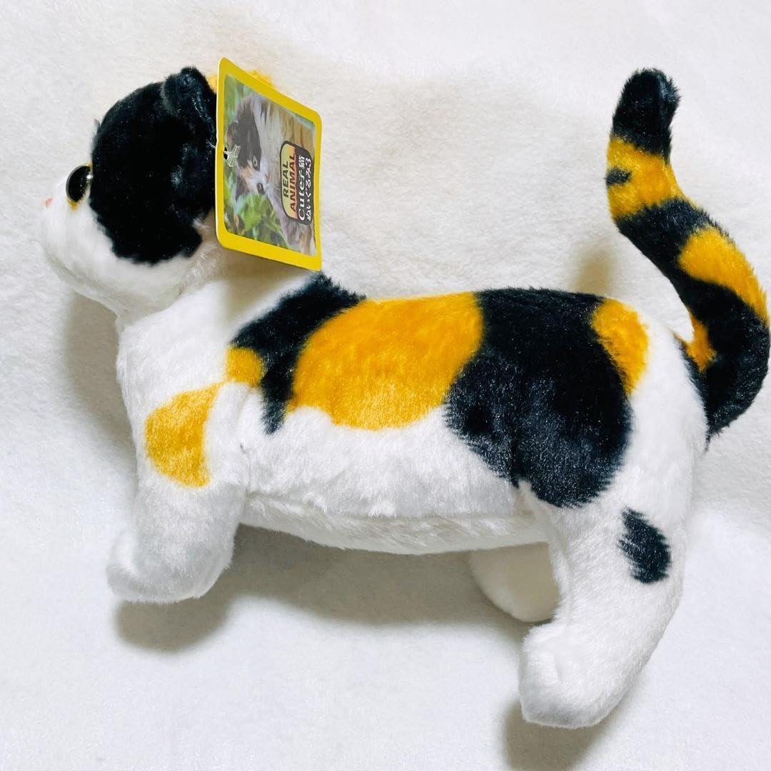 猫のぬいぐるみ3体セット 楽天市場】三毛猫 ぬいぐるみ リアル 猫 キャリコ 34センチ