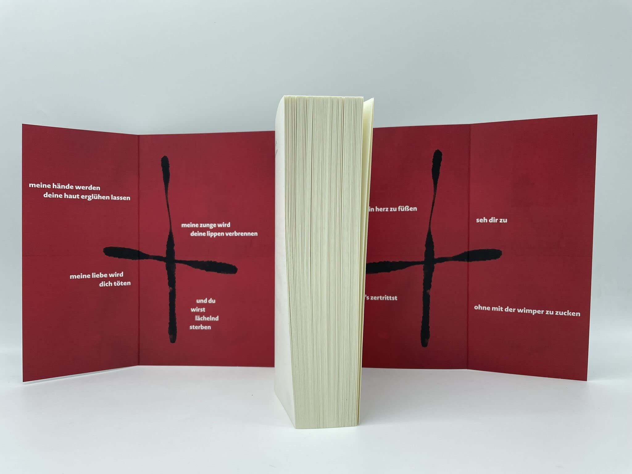Und du wirst lächelnd sterben: Der neue Psychothriller der SPIEGEL-Bestseller-Autorin. Nominiert für den Glauser Preis 2024.