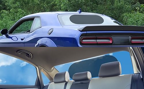 TOTMOX Auto-Heckscheiben-Sonnenschutz mit Saugnapf für einfache Installation, Sonnenschutzrollo passend für Bildschirmschutz Universal