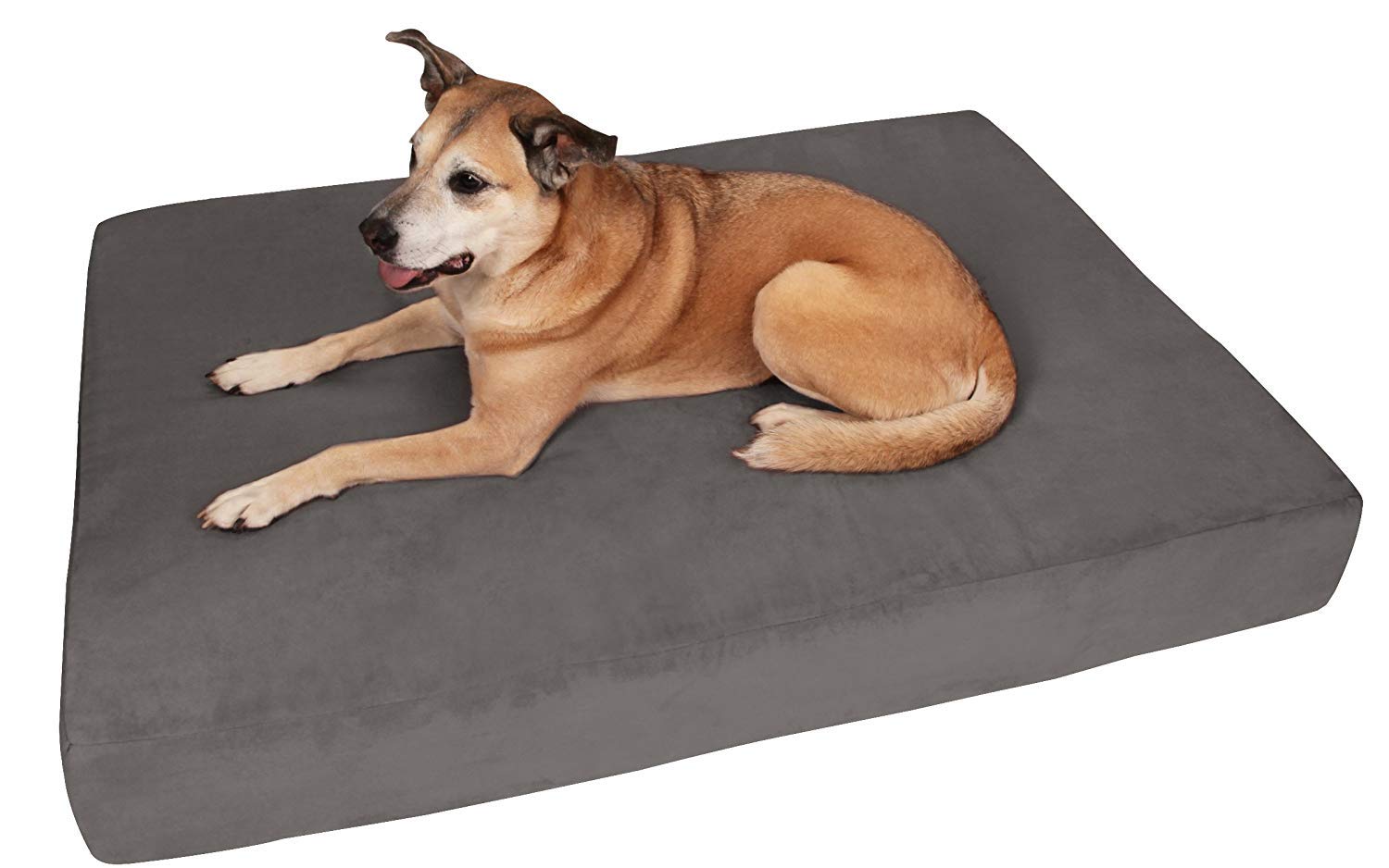 Barker Beds Giant Orthopedic Dog Bed - 7" Memory Foam Mattress - 100-300 lbs - Joint Pain & Arthritis Support - Vet Recommended, Washable Cover - Made in USA - 60"x48"x7" - Charcoal